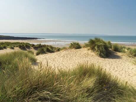 Patchwork Côte d'Opale :  « On a  marché sur la dune"
