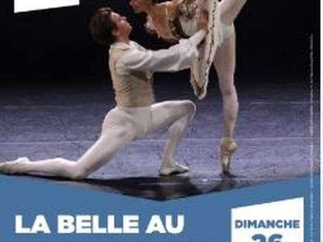 La belle au bois dormant - Centre culturel Georges Brassens