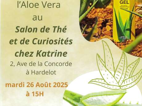 Salon de thé et de curiosités chez Katrine
