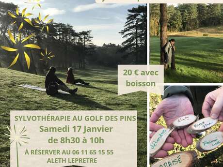 Sylvothérapie Hardelot - Golf des Pins