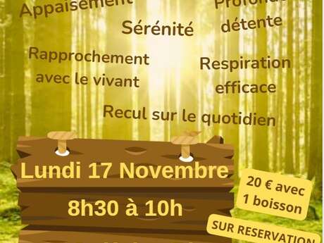 La Sylvothérapie au Golf des Pins