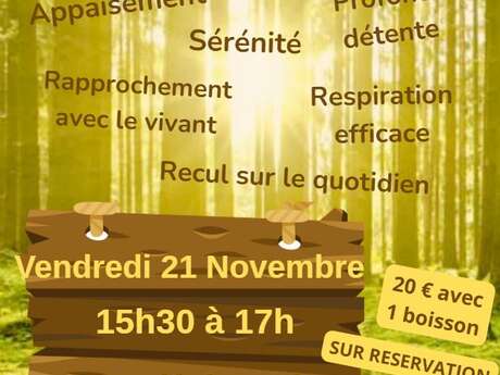 Sylvothérapie au Golf des Pins