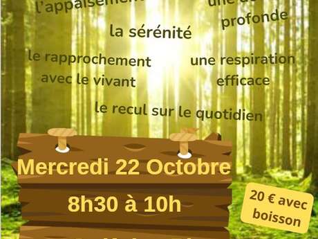 Sylvothérapie au Golf des Pins