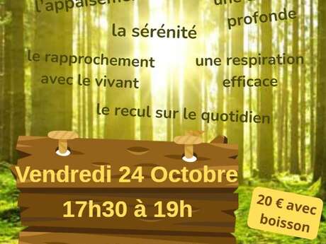 Sylvothérapie au Golf des Pins