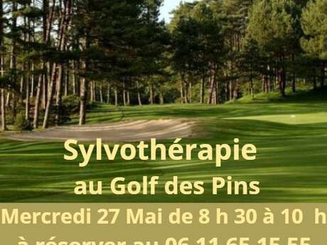 Sylvothérapie au Golf des Pins