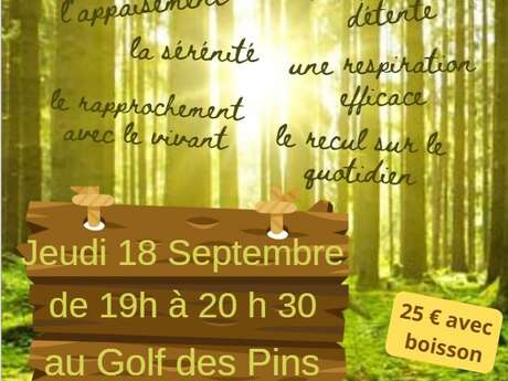 Sylvothérapie au Golf des Pins
