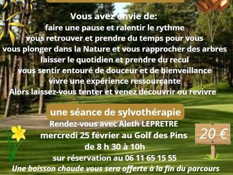Sylvothérapie Hardelot - Golf des Pins