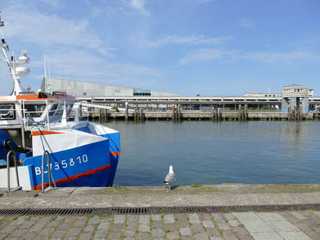 Visite Guidée : Tour du port