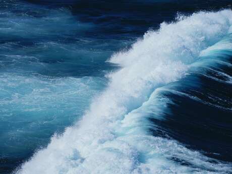 Festival Team for Ocean