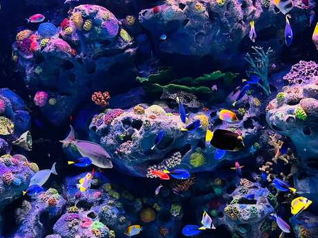 Soirée-Théâtre AQUASPHÈRE