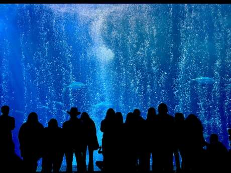 Soirée Concert : Célébrons l'Océan "Si la Terre..."