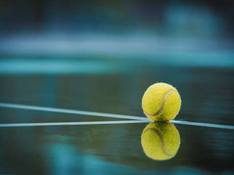 Tennis Circuit vert