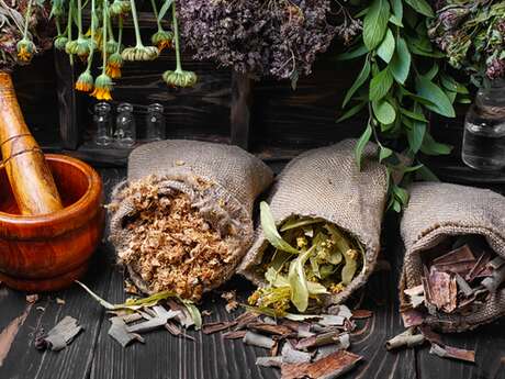 Association Patchwork - "Le pouvoir caché des plantes médicinales" découverte de la phytothérapie + goûter partagé