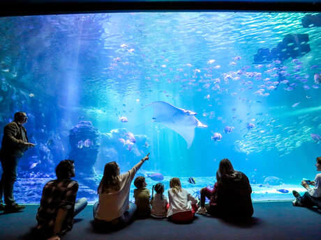 Nausicaá - Centre national de la Mer