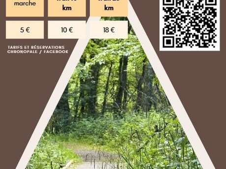 Trail du Mont Renard