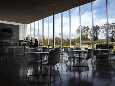 CAFÉTÉRIA DU LOUVRE-LENS - La pause du Cerisier