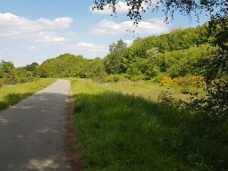 Randonnée  “The pimple” : Bois des Bruyère, Canadiens et Allemands