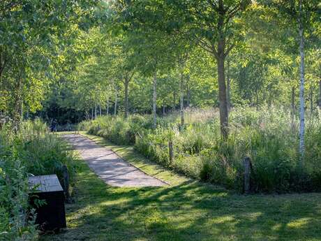 Rendez-vous aux jardins - Visite guidée du Jardin de la paix Français « Promenade en sous-bois, lumières et transparences » par les paysagistes-concepteurs Élise et Martin Hennebique