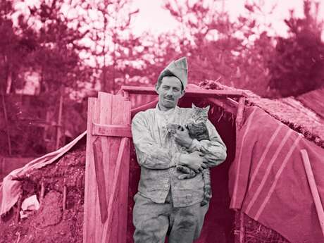 Exposition "Poilus : Histoire des chats et chiens de la Grande Guerre"