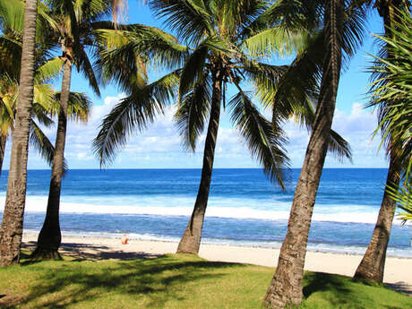 Plage de Grande Anse