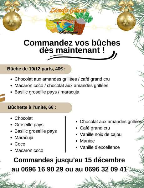 Bûches de Noël (Ziouka Glaces)