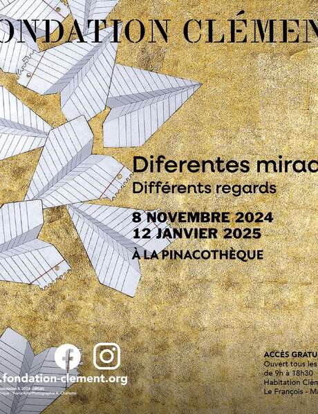 Exposition « Diferentes Miradas | Différents regards » (Musée Fondation Clément) Agenda