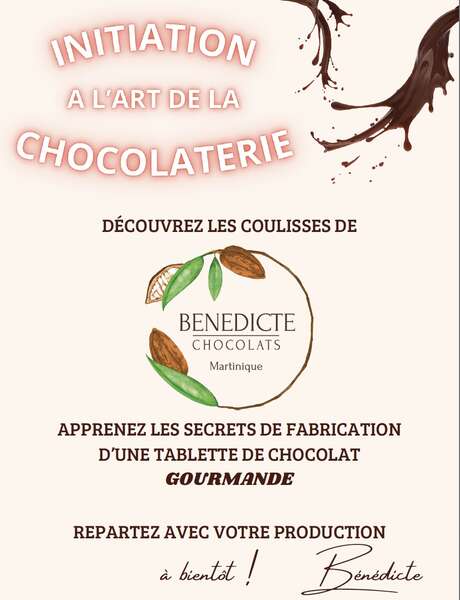 Initiation à l'art de la chocolaterie (Bénédicte Chocolats)