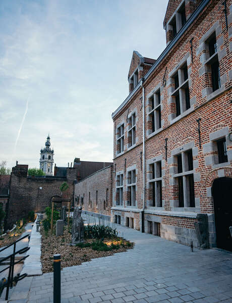 Visites guidées de la Maison des Collections