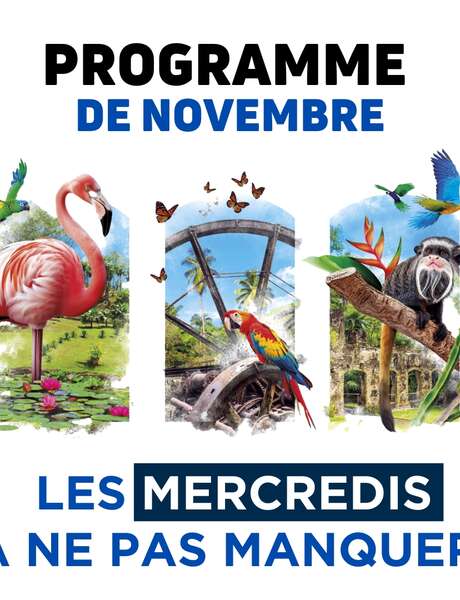 Programme de novembre (Zoo de Martinique)