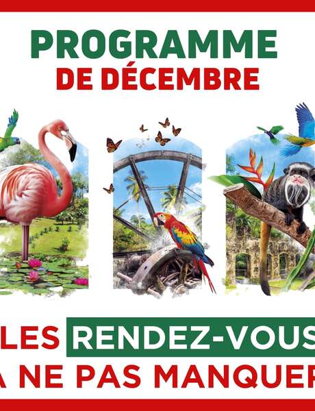 Programme de décembre (Zoo de Martinique)