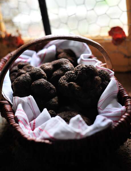 Journée des ambassadeurs de la truffe du Quercy - Causses et Vallée de la Dordogne - Journée des ambassadeurs de la truffe du Quercy - Causses et Vallée de la Dordogne -
