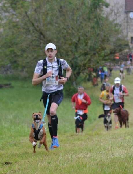 Festival Résurgence VIII - "Randonnée pour bouger avec son chien"