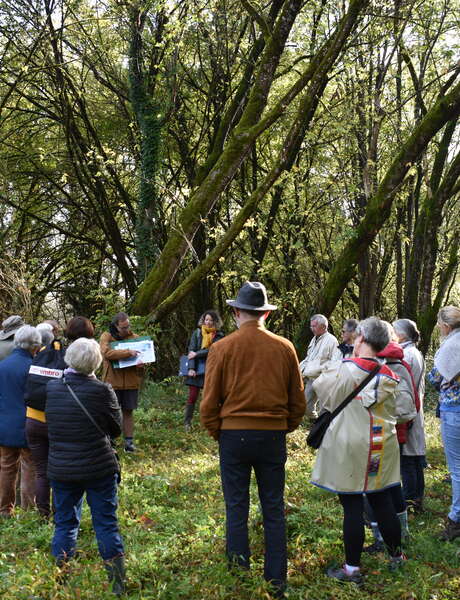 Festival Résurgence VIII - Visite guidée "Cauvaldor Tour"