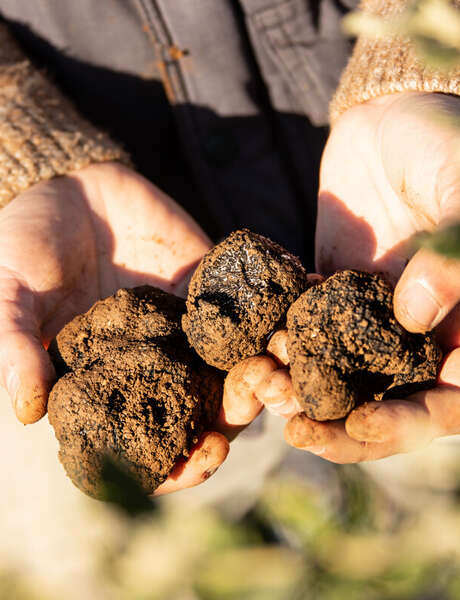 Marché de la Truffe de Souillac