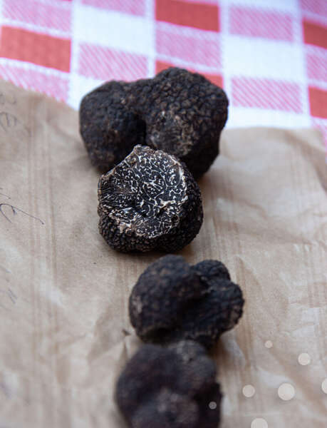 Marché aux truffes de Saint-Céré