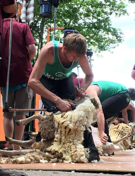 Championnat de France 2018 de Tonte de Moutons Championnat de France 2018 de Tonte de Moutons