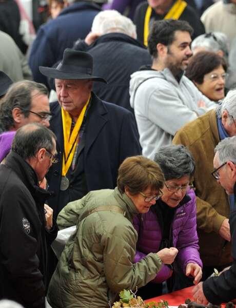 Foire aux truffes de Cuzance