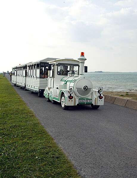 Train aux oiseaux Train aux oiseaux