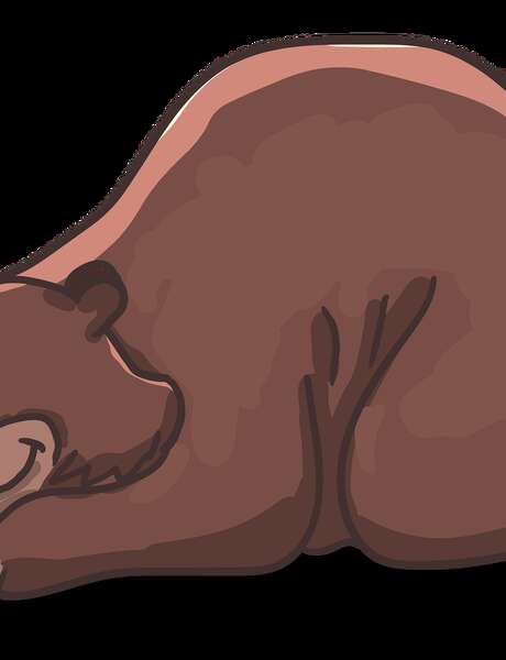 Soyez l'Homme qui a vu l'Ours Soyez l'Homme qui a vu l'Ours