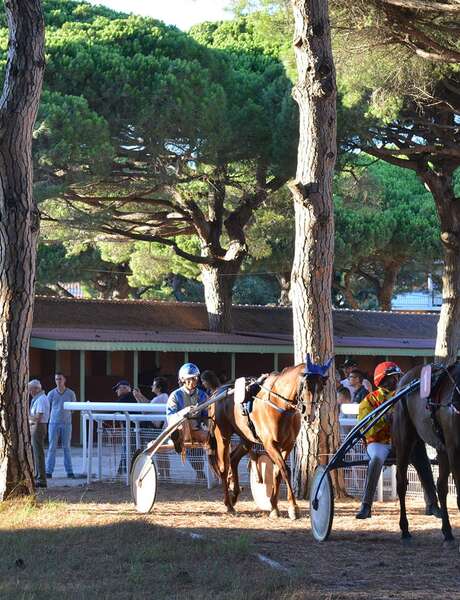 Courses hippiques à l'hippodrome d'Hyères Courses hippiques à l'hippodrome d'Hyères