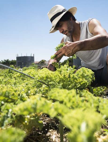 Visites en permaculture de Zone Sensible Visites en permaculture de Zone Sensible