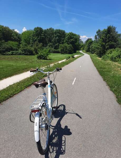 Atelier Vélo avec TAC Atelier Vélo avec TAC