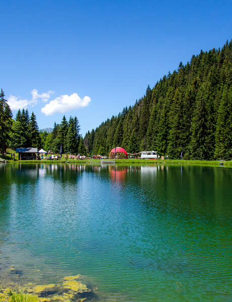 Concours de pêche au lac du Plan Désert Concours de pêche au lac du Plan Désert