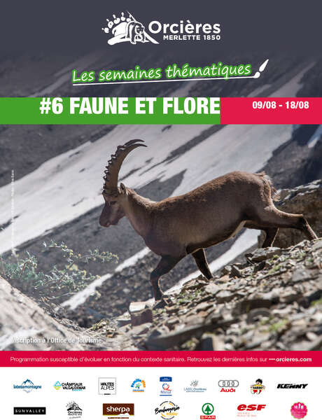 Semaine à thème "Faune & Flore" Semaine à thème "Faune & Flore"
