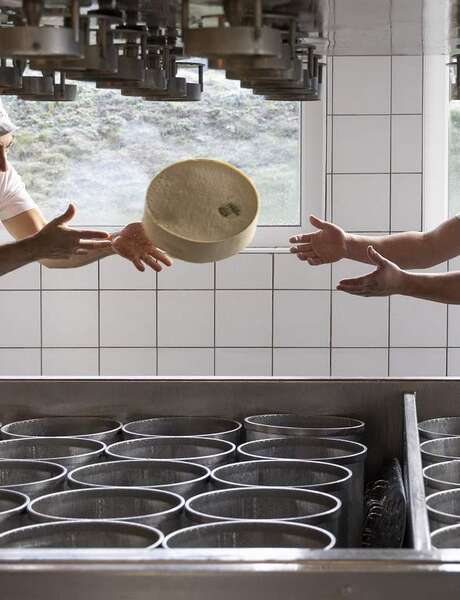De la vache au fromage De la vache au fromage