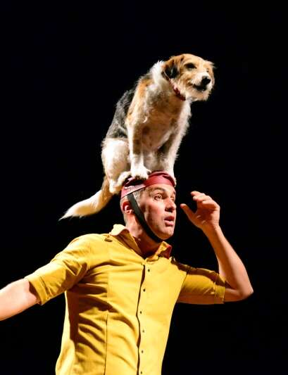 Le Cabaret renversé