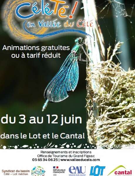 Célé'té à Espagnac-Ste Eulalie : Balade botanique sur les bords du Célé Célé'té à Espagnac-Ste Eulalie : Balade botanique sur les bords du Célé