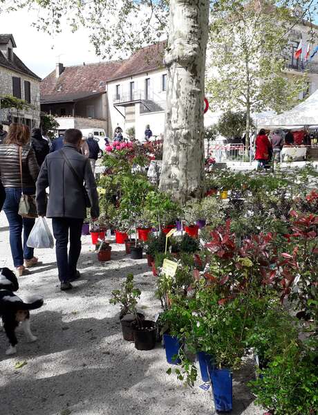 Fête de Printemps