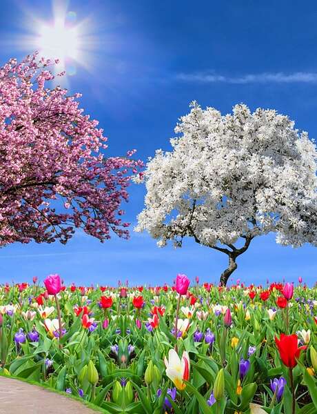Faites des Jardins ! Faites des Jardins !
