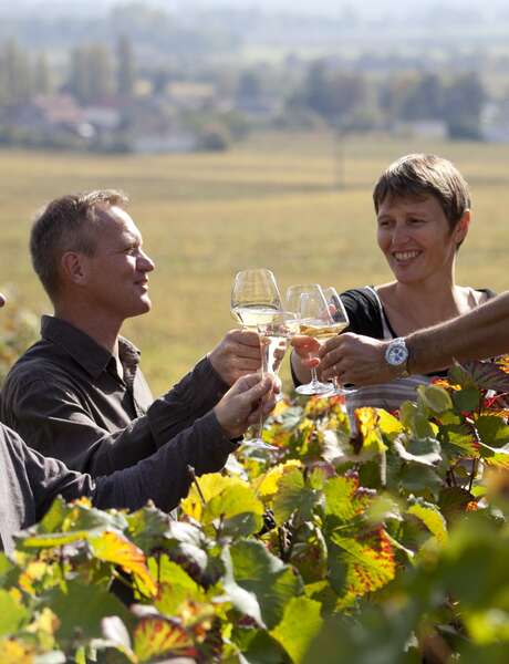 Balade entre vignes et vins Balade entre vignes et vins